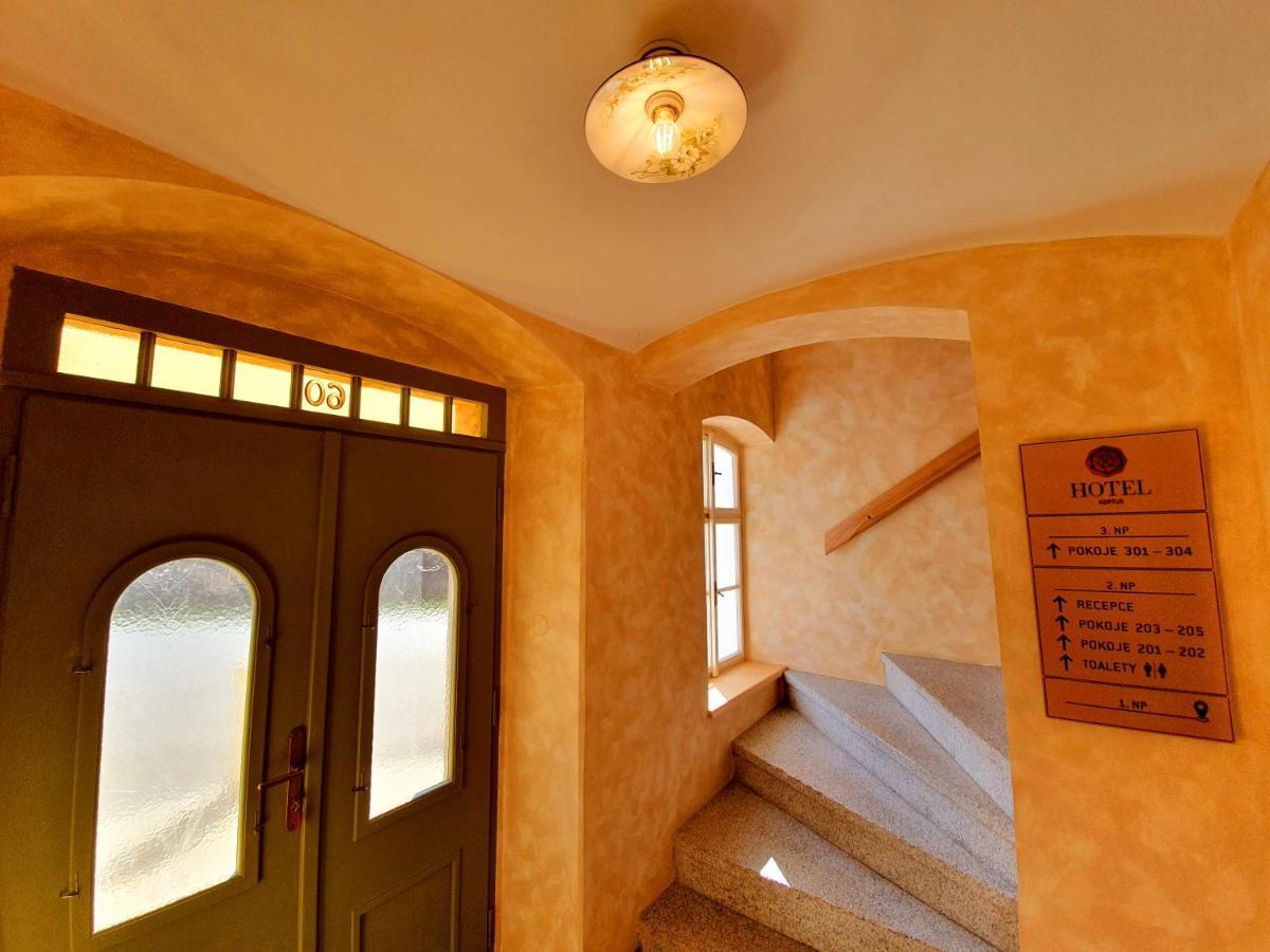 Hotel Kortus Jetřichovice エクステリア 写真